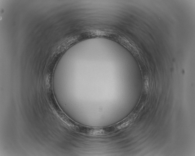 X0000083610410200703051548