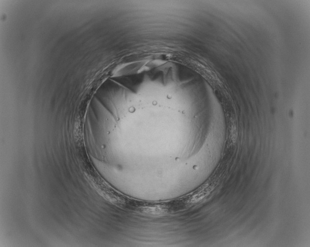 X0000083610411200703051548