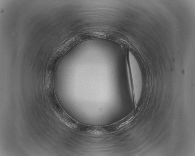 X0000083610412200703051548