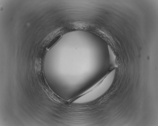 X0000083610413200703051548