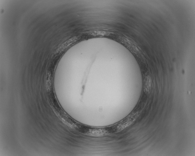 X0000083610414200703051548