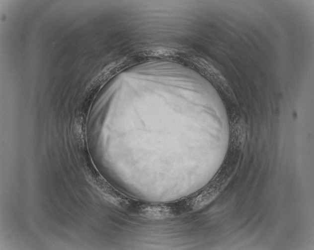 X0000083610415200703051548