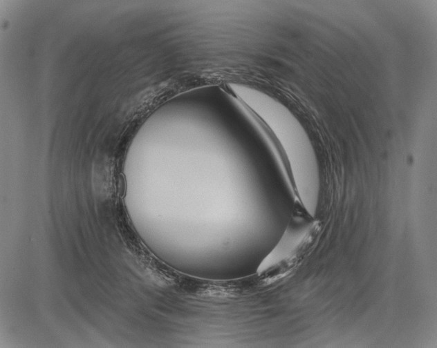 X0000083610416200703051548