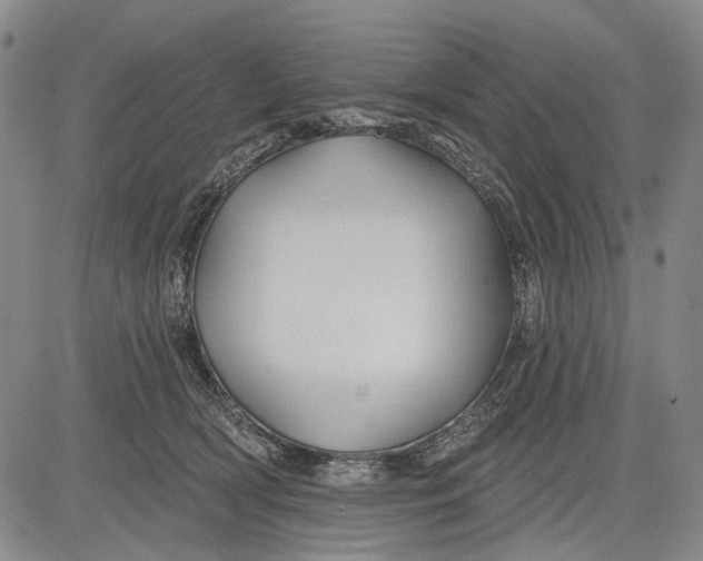 X0000083610418200703051548