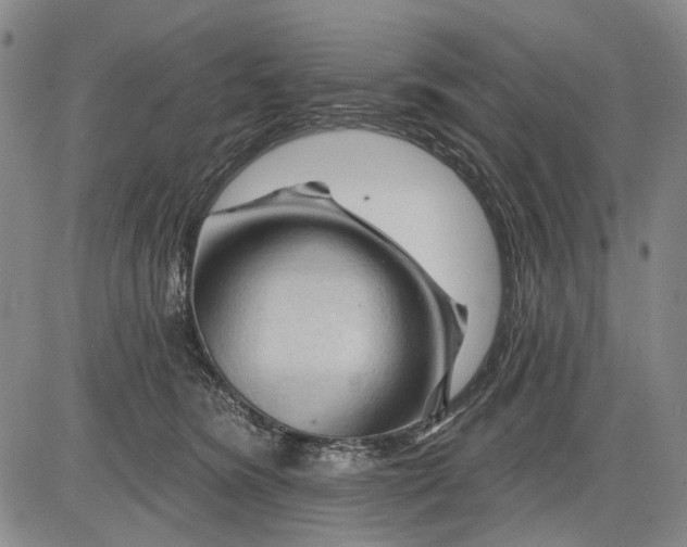 X0000083610420200703051548