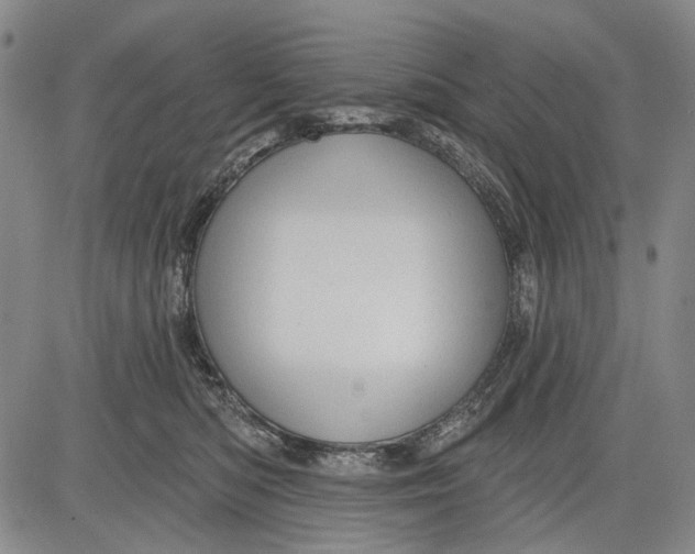 X0000083610422200703051548