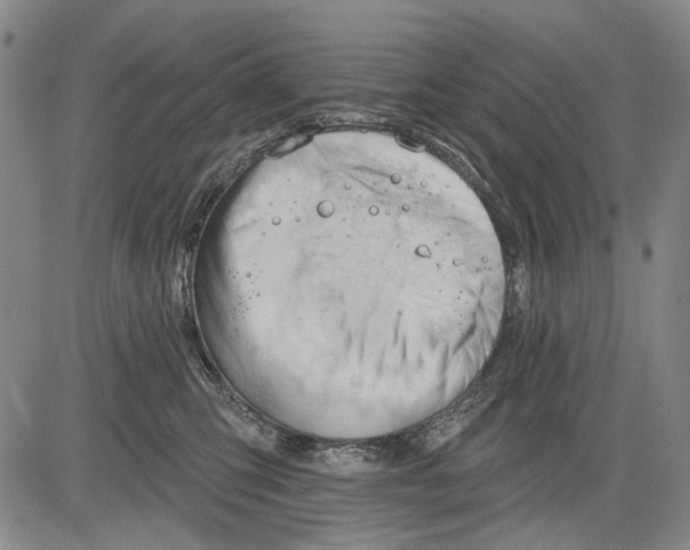 X0000083610423200703051548