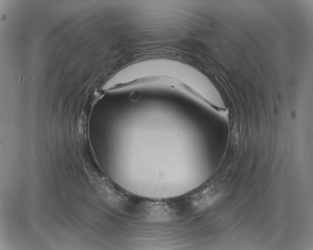 X0000083610424200703051548