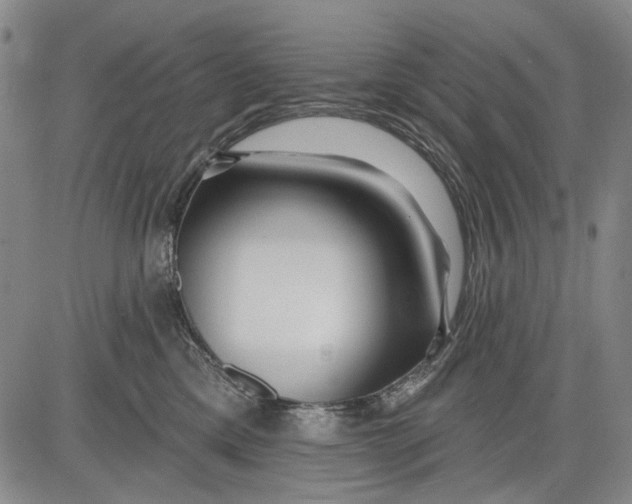 X0000083610425200703051548