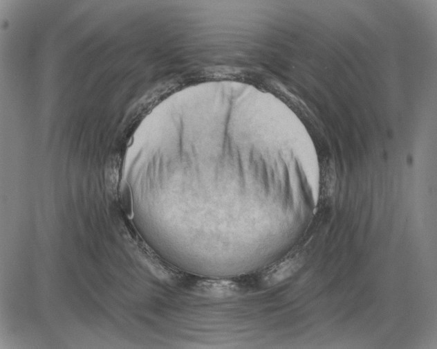 X0000083610427200703051548