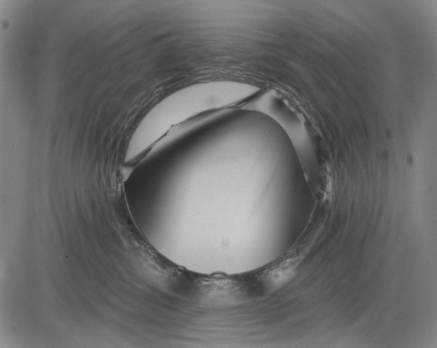 X0000083610428200703051548