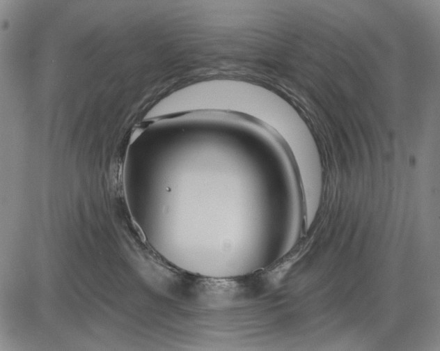 X0000083610429200703051548