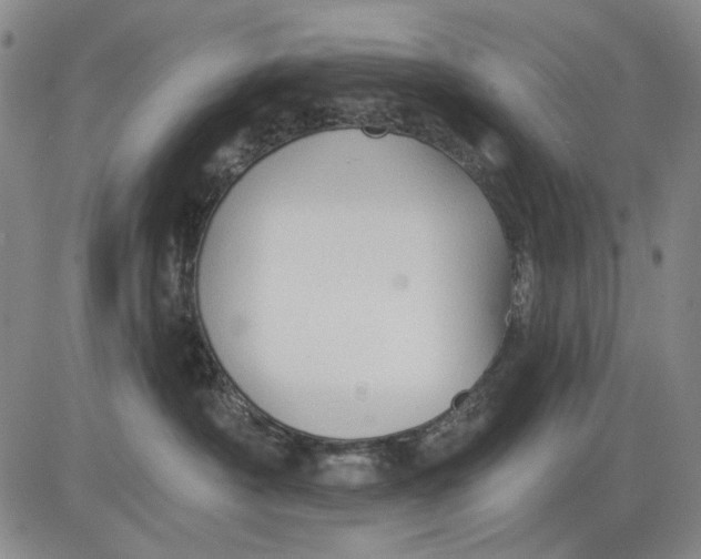 X0000083610430200703051548