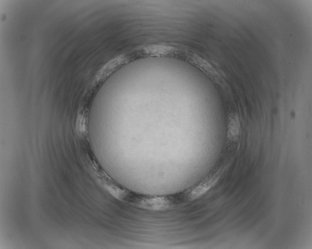 X0000083610431200703051548