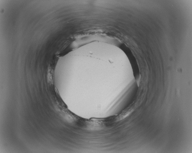 X0000083610432200703051548