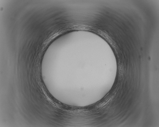 X0000083610433200703051547