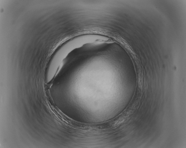 X0000083610434200703051547