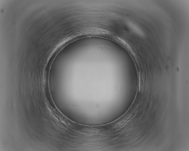 X0000083610435200703051547