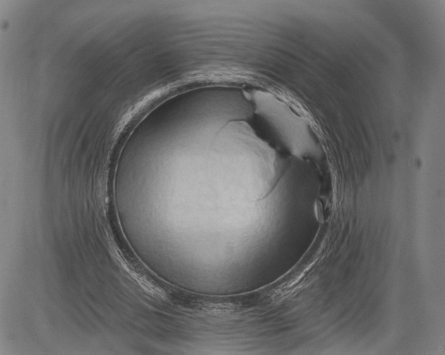 X0000083610438200703051547