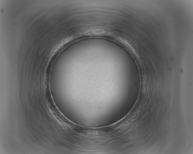 X0000083610439200703051547