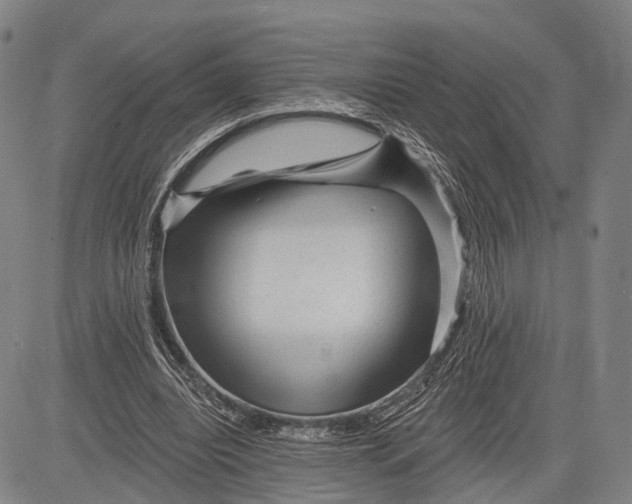 X0000083610440200703051547