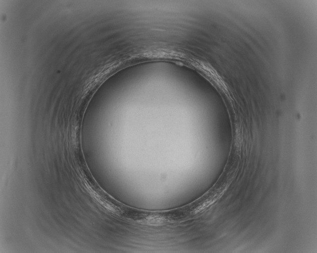 X0000083610441200703051547