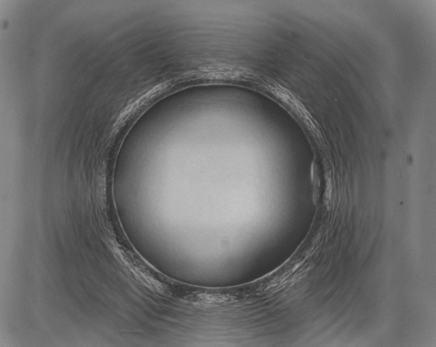 X0000083610442200703051547