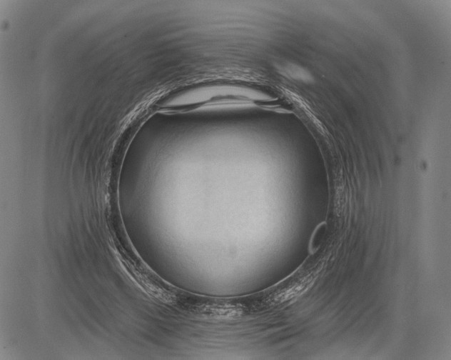 X0000083610443200703051547