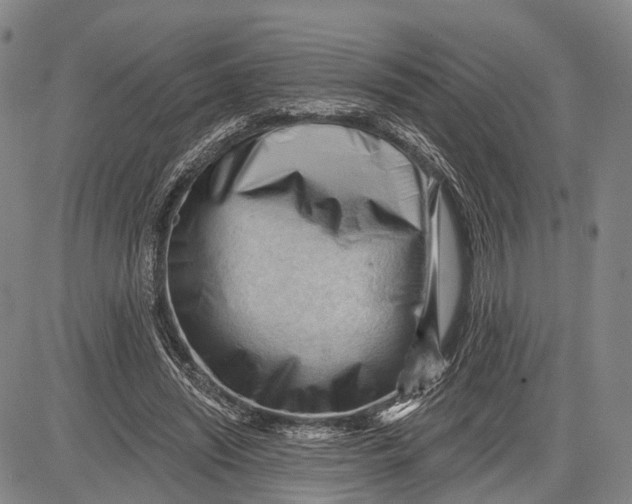 X0000083610444200703051547