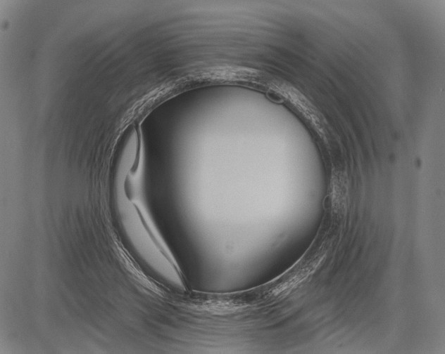 X0000083610445200703051547