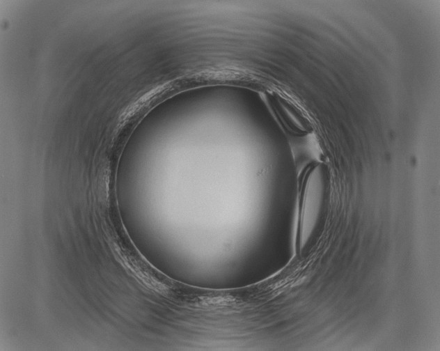 X0000083610446200703051547