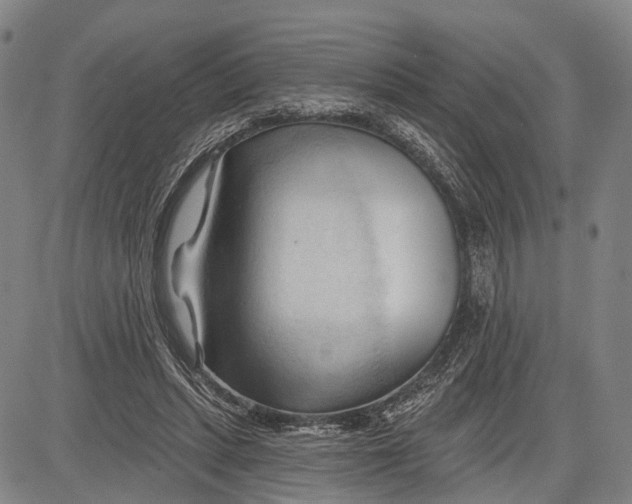 X0000083610447200703051547