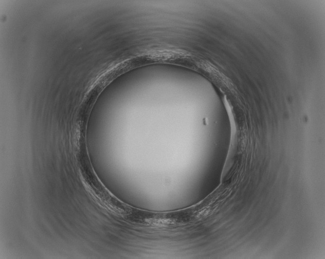 X0000083610448200703051547