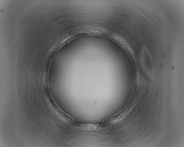 X0000083610449200703051547