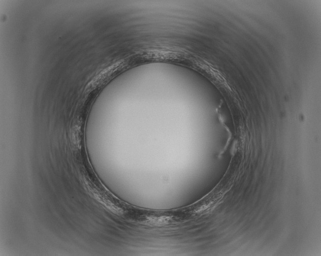 X0000083610450200703051547