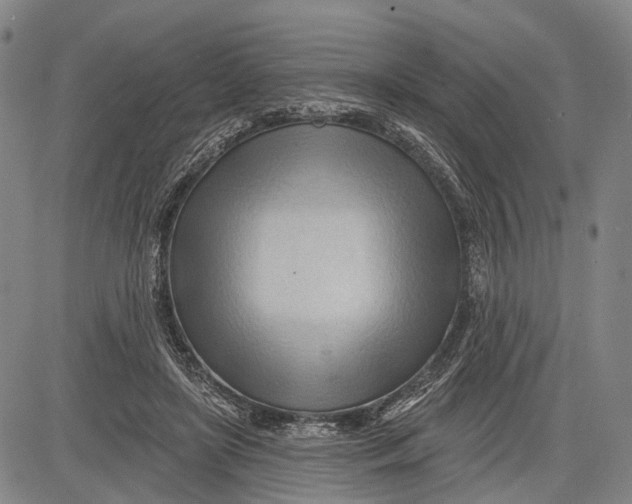 X0000083610451200703051547