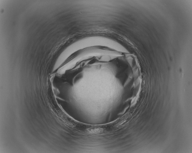 X0000083610452200703051547