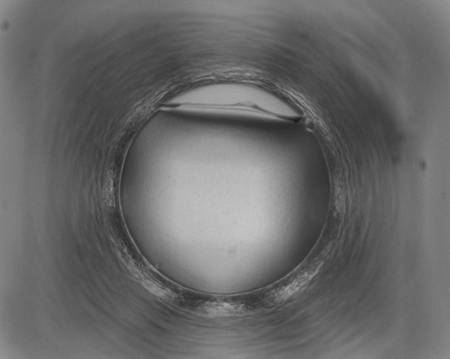 X0000083610453200703051547