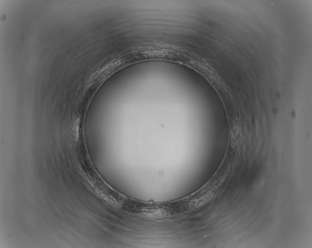 X0000083610454200703051548