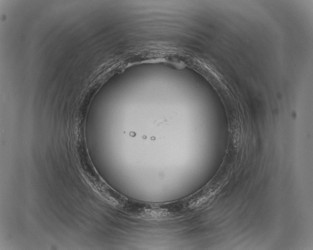 X0000083610455200703051548