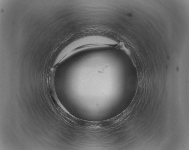 X0000083610456200703051548