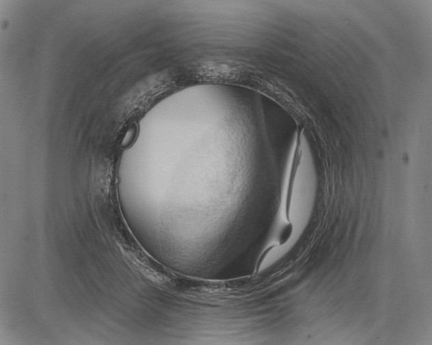 X0000083610458200703051548