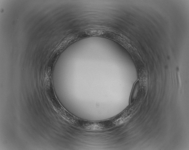 X0000083610460200703051548