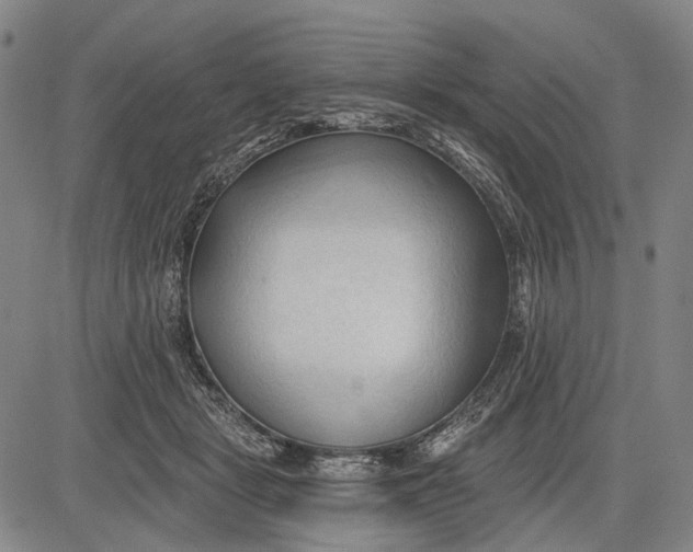 X0000083610461200703051548