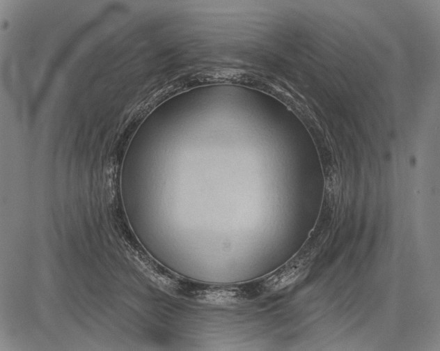 X0000083610462200703051548