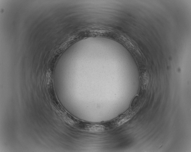 X0000083610463200703051548