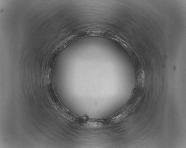 X0000083610464200703051548