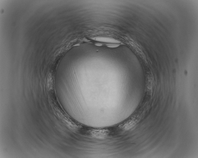 X0000083610465200703051548