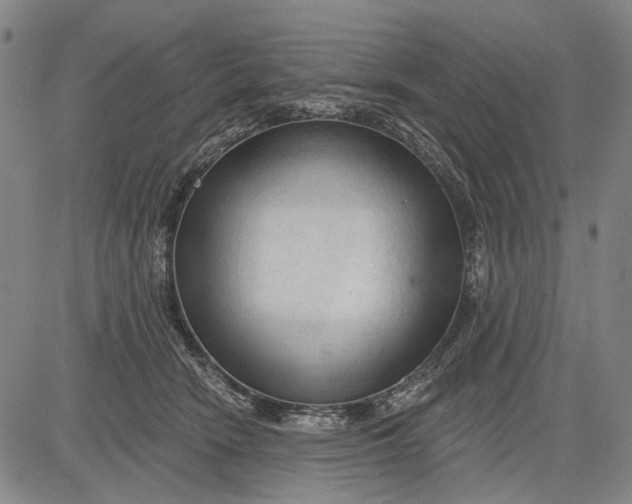 X0000083610466200703051548