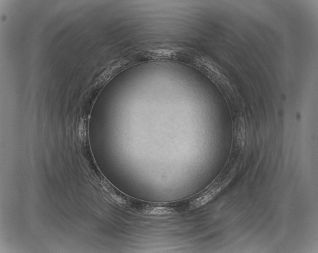 X0000083610467200703051548